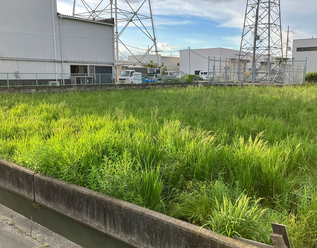 田能６before写真